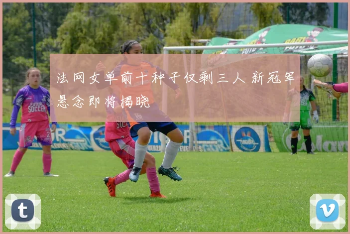 法网女单前十种子仅剩三人 新冠军悬念即将揭晓