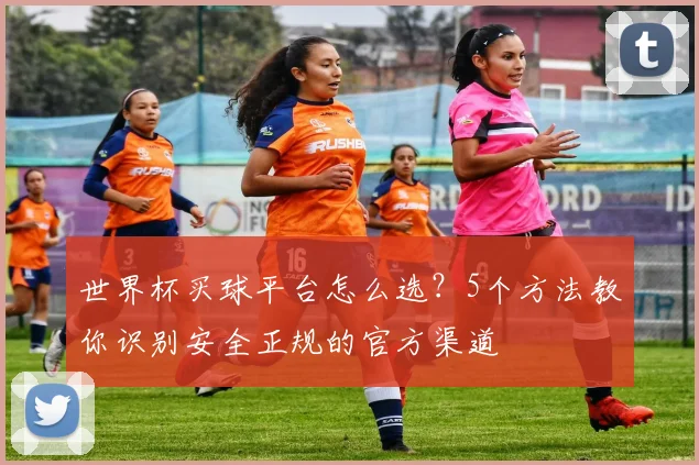 世界杯买球平台怎么选?5个方法教你识别安全正规的官方渠道